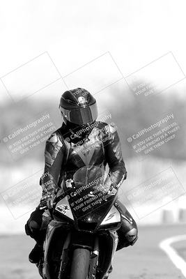 media/Nov-06-2023-Moto Forza (Mon) [[ce023d0744]]/4-Beginner Group/Session 3 (Track Exit)/